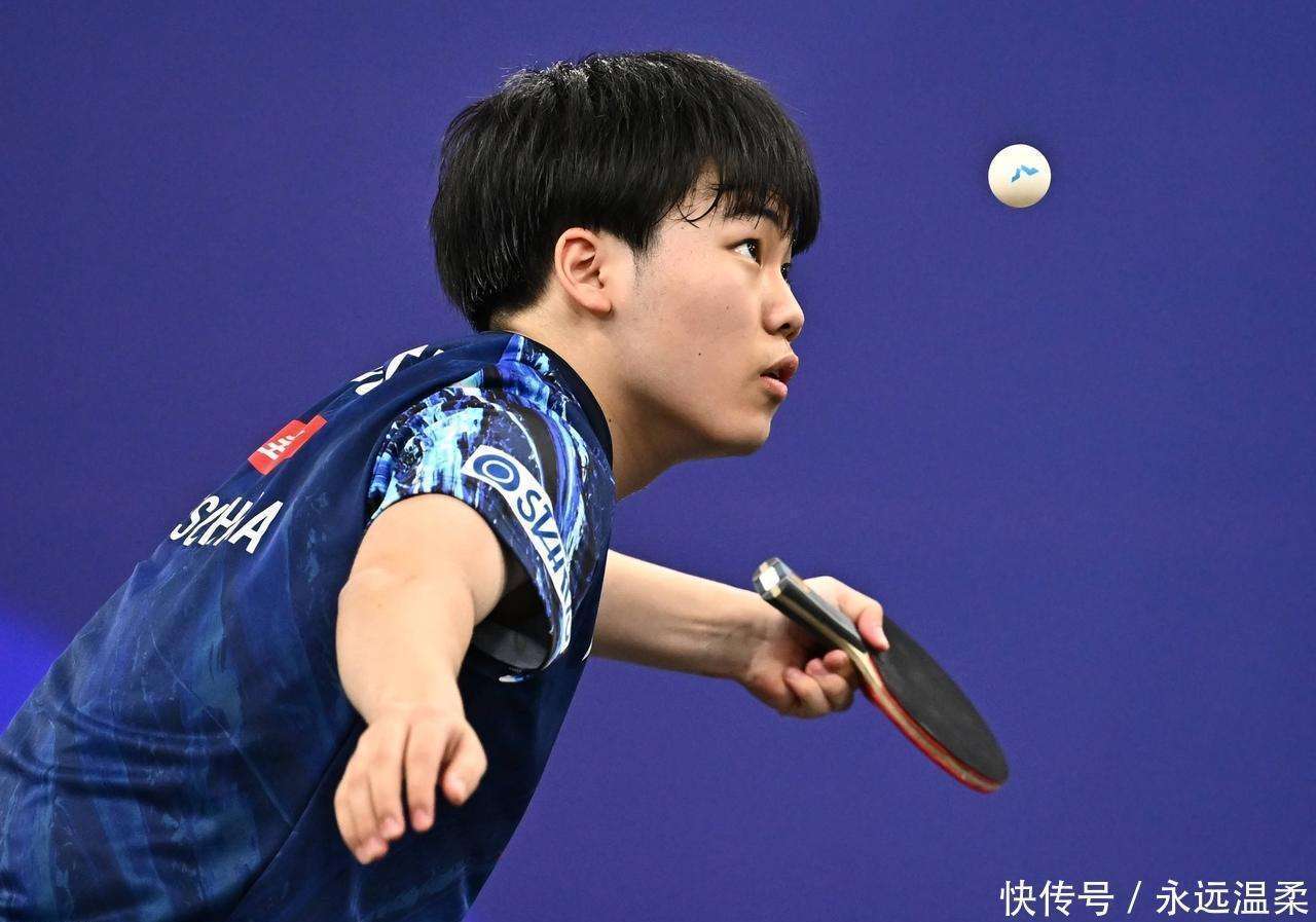 日本队逆转瑞典队，王皓状态火热的简单介绍