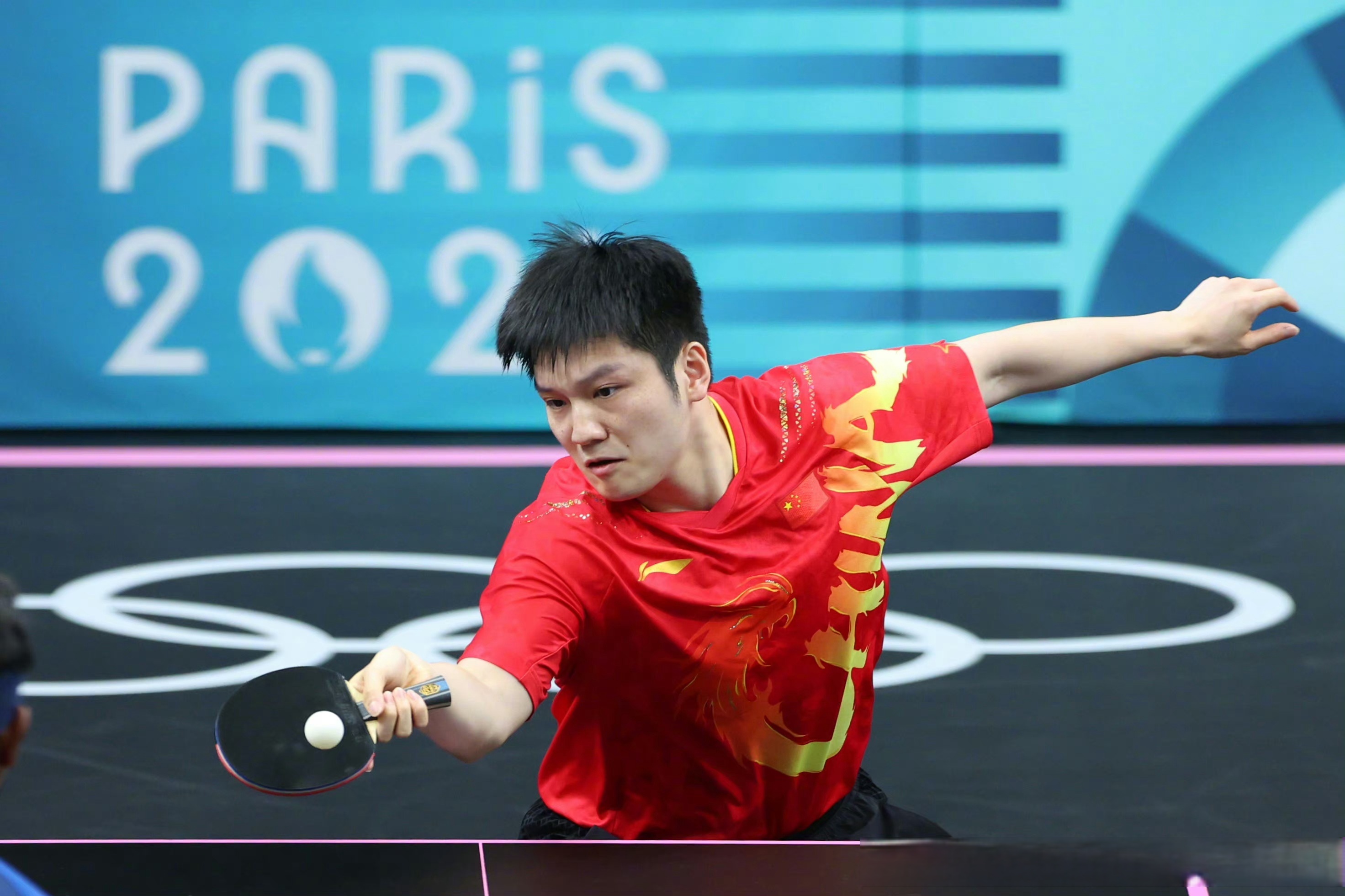 关于德国乒乓球队完胜日本乒乓球队，马龙爆发神勇的信息