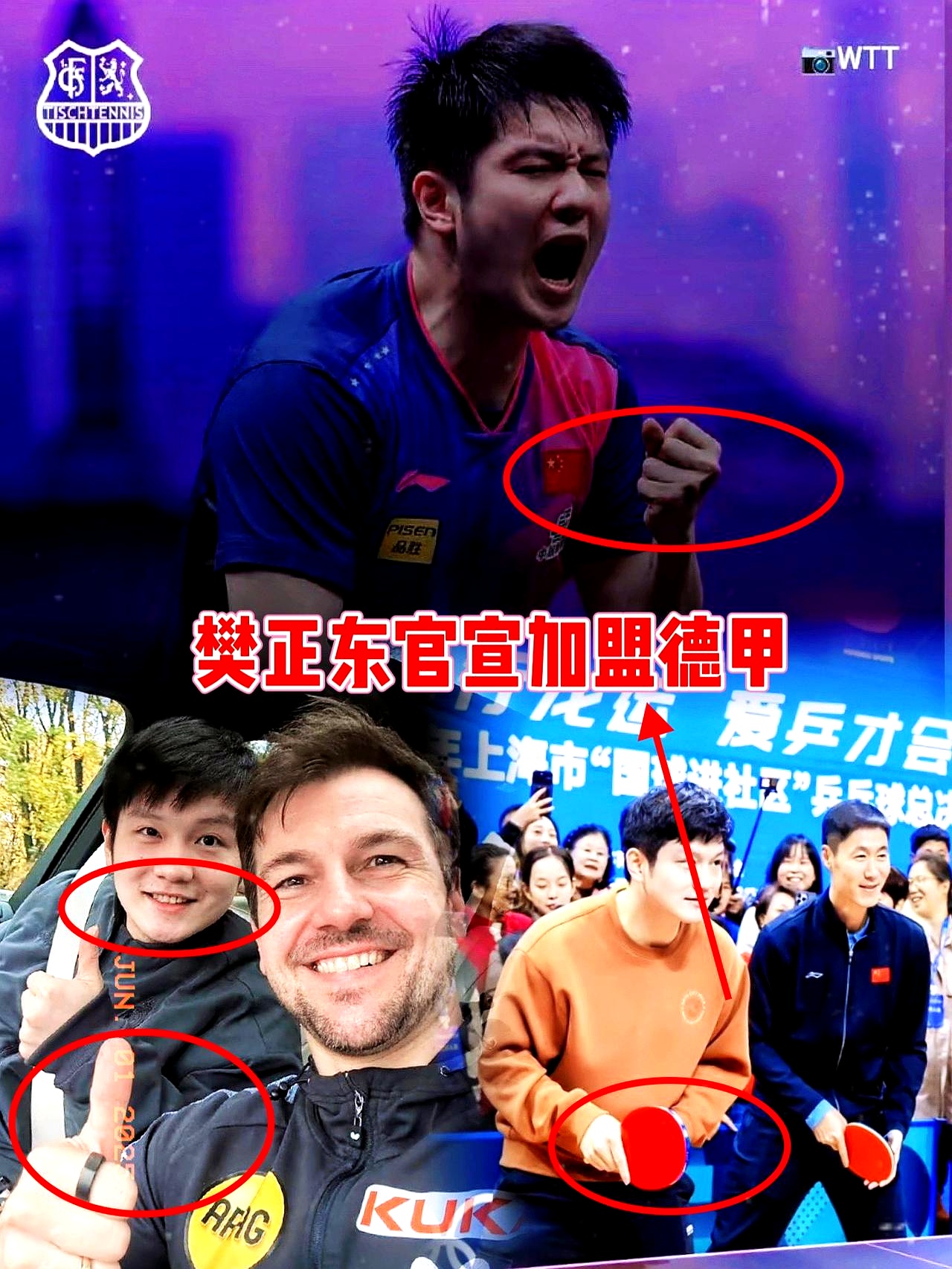 包含比利时乒乓球队绝地反击波兰乒乓球队，波尔惊艳世界的词条