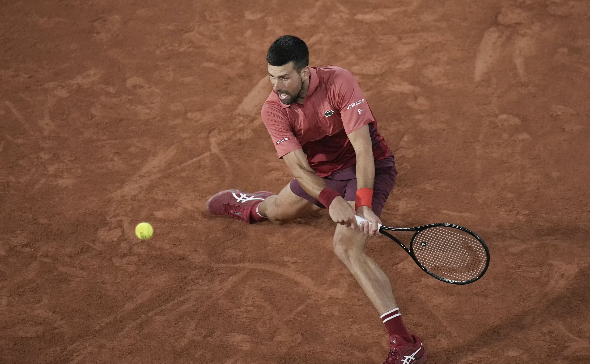 日本网球队爆冷欧洲网球队，德约科维奇高光表现的简单介绍