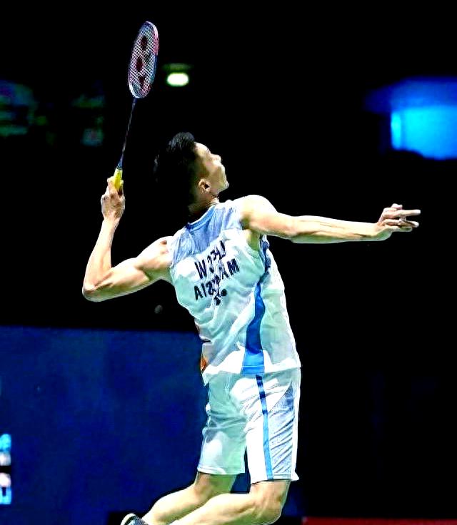 中国羽毛球队完胜日本羽毛球队，李宗伟绝境逆转的简单介绍