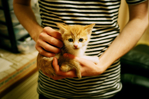 独行侠节奏掌控骑士,文班亚马在德甲争冠战接管比赛,跨越篮球世界的掌控者叙事