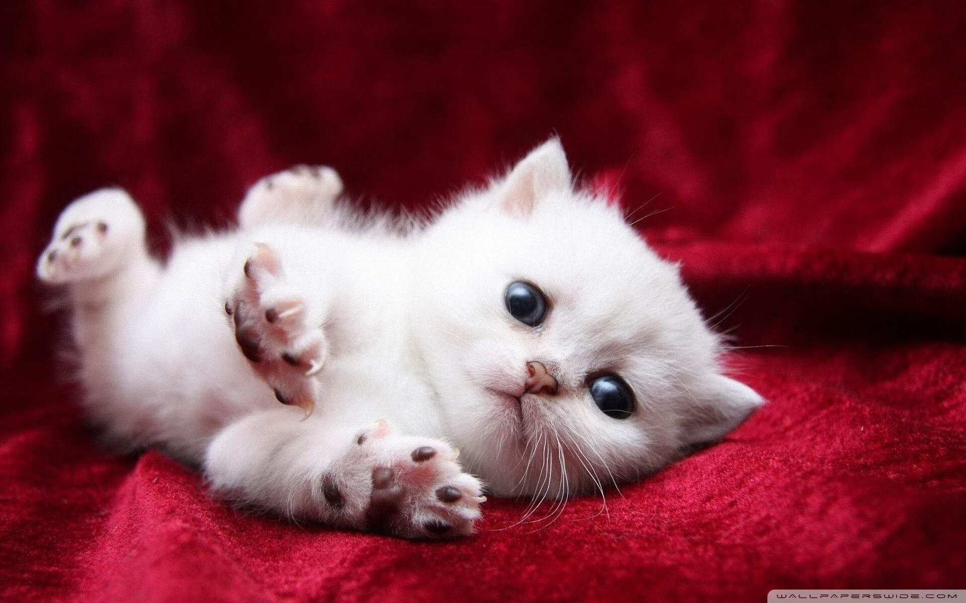 雄鹿决胜局带走奇才，乔治成为关键先生