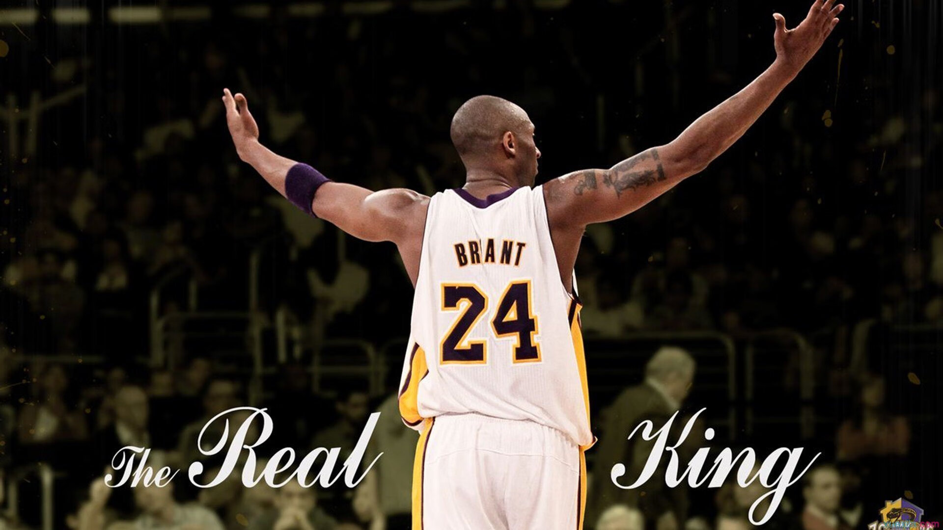 东决关键战焦点战，北京队稳稳拿下浙江队