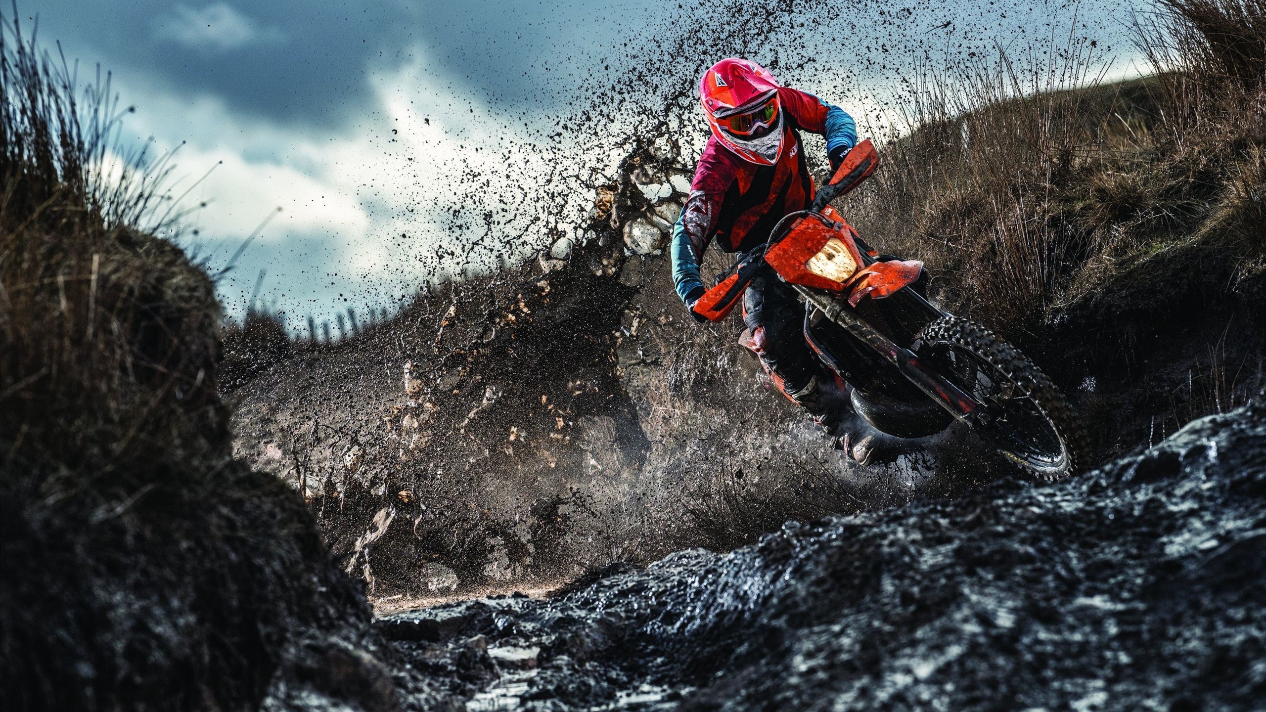 新王登基！国王速胜骑士，班凯罗关键一击定江山